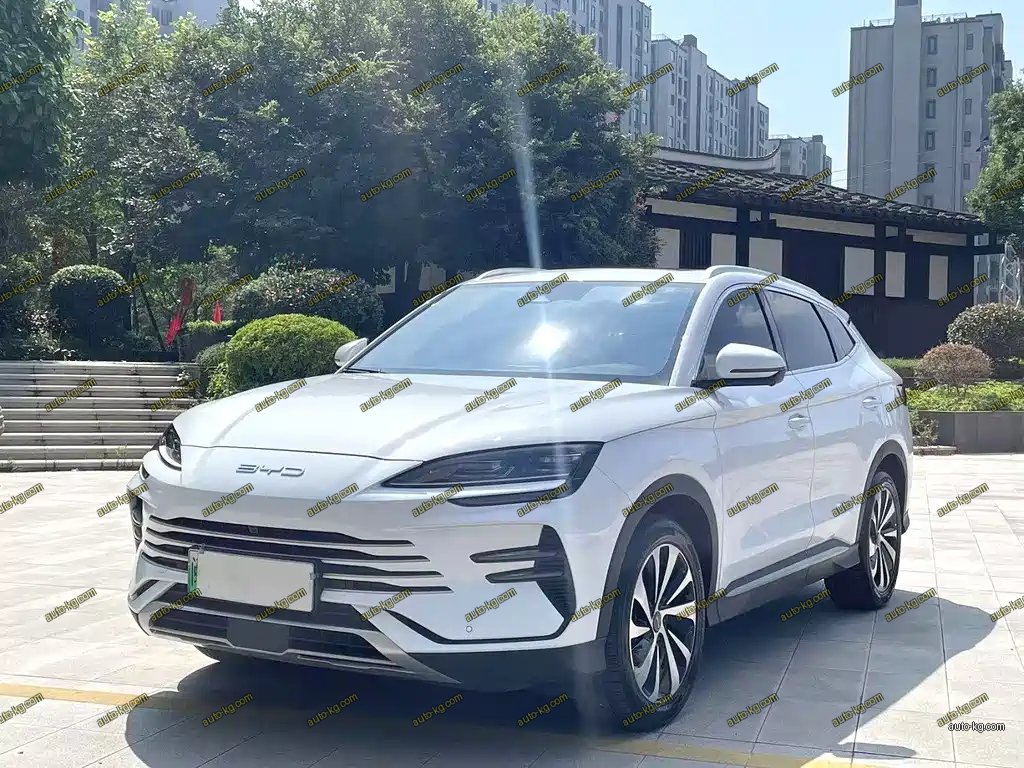 BYD PLUS New Energy 2023