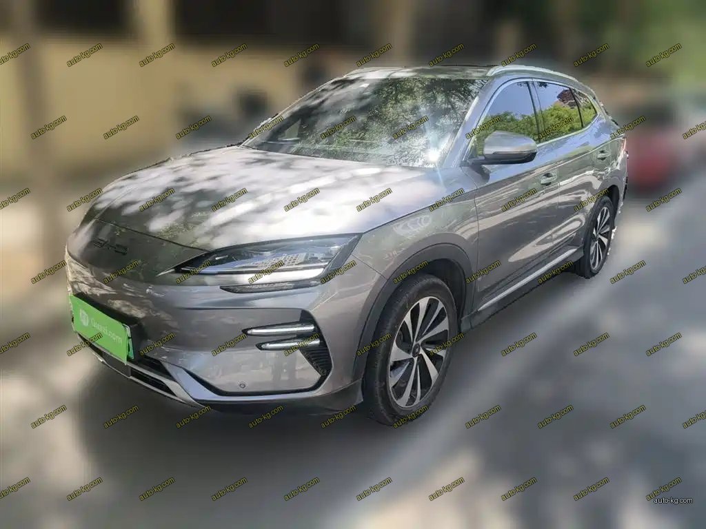 BYD PLUS New Energy 2024