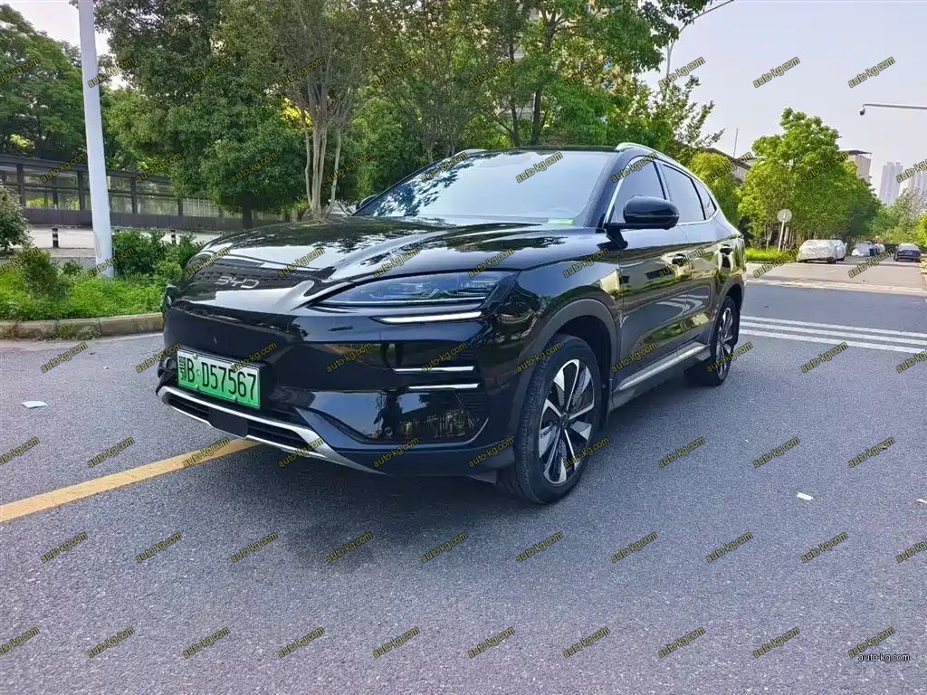 BYD PLUS New Energy 2024