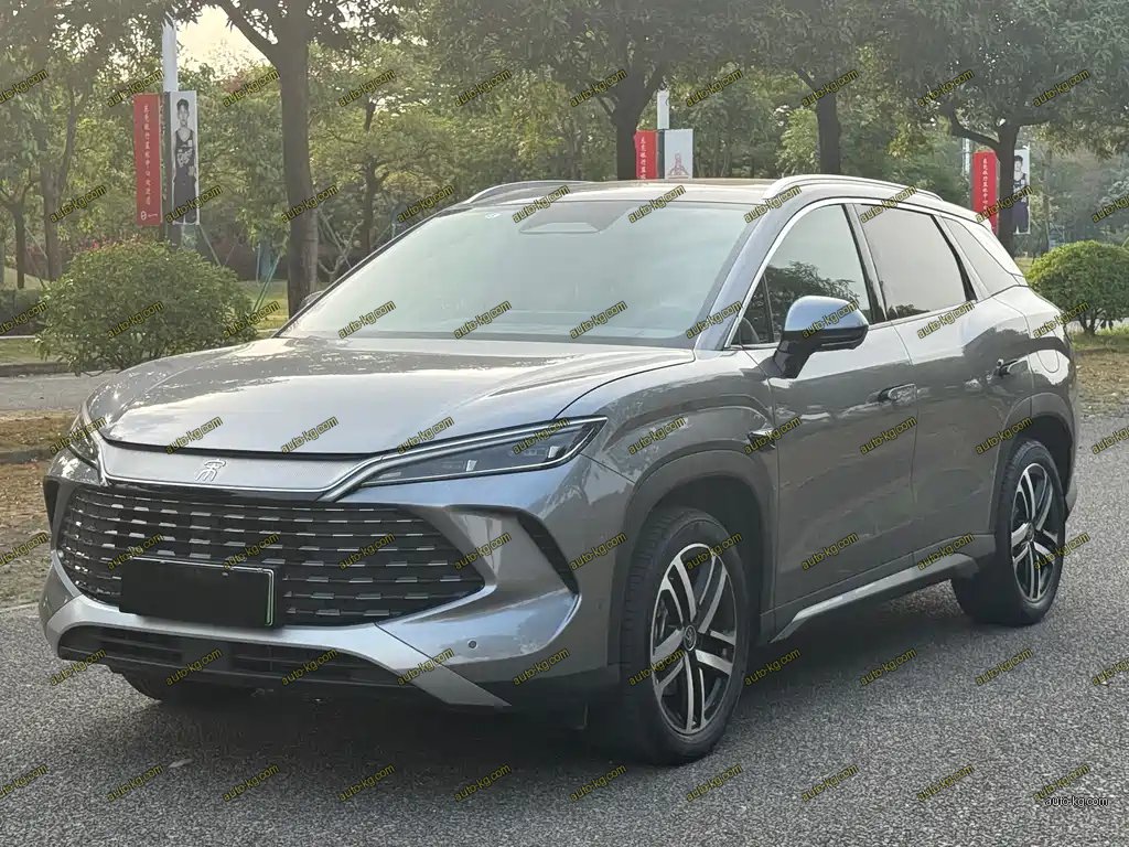 BYD L DM-i 2025