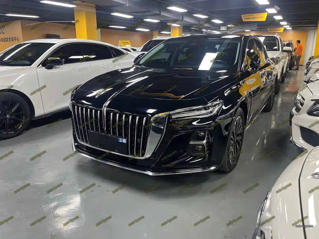 Hongqi Hongqi H5 2024