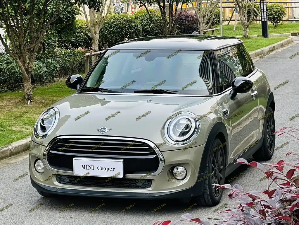Mini Mini 2019
