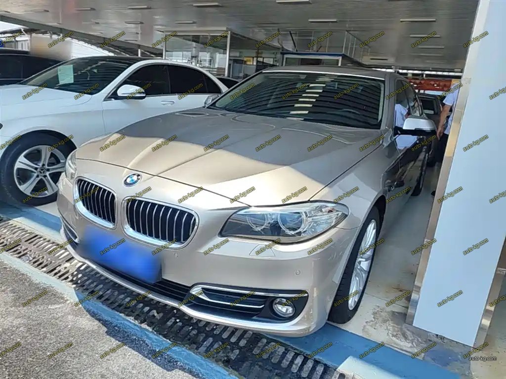 BMW 5 Series 2017