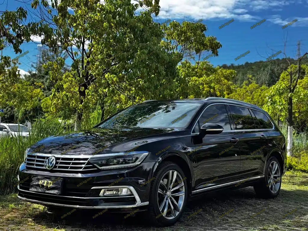 Volkswagen Viloran 2018