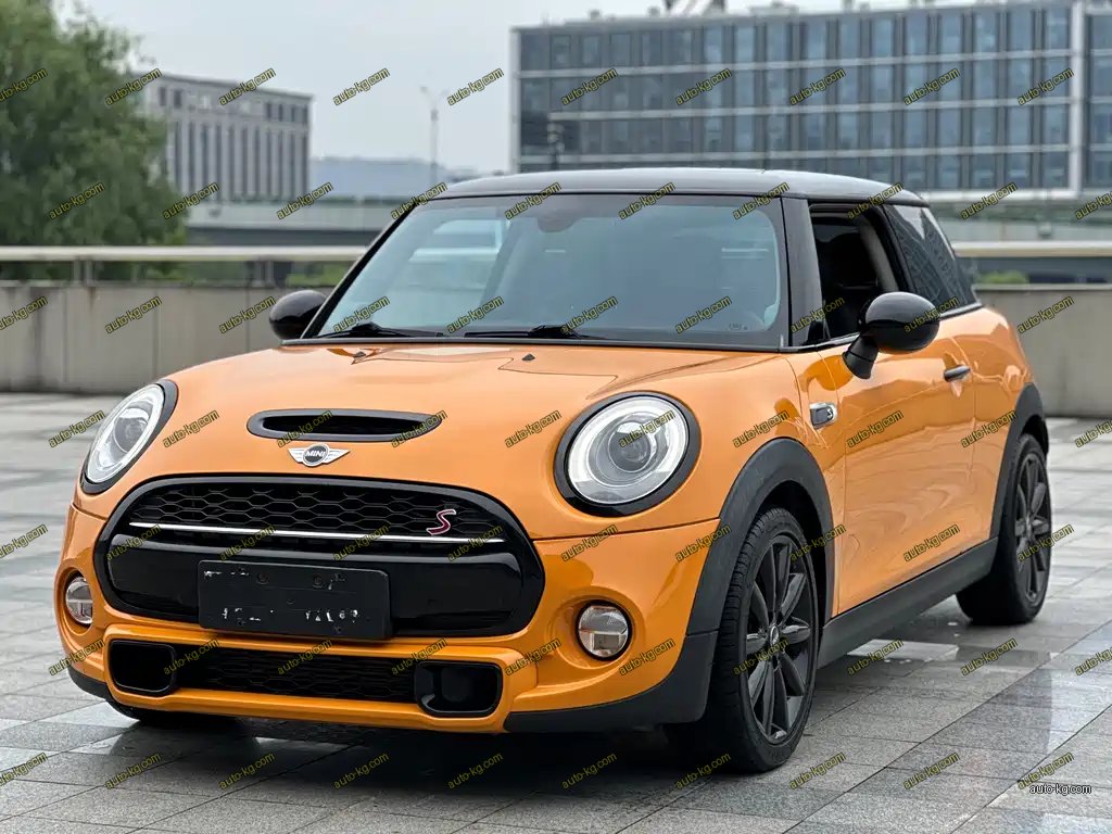 Mini Mini 2018
