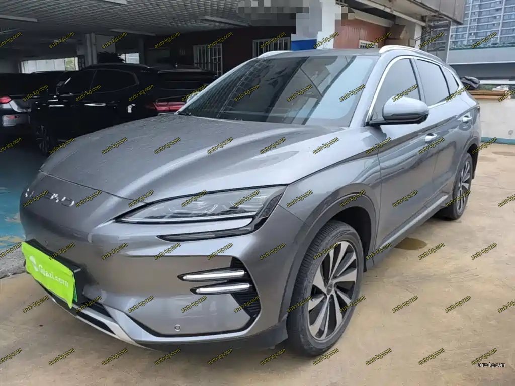 BYD PLUS New Energy 2024