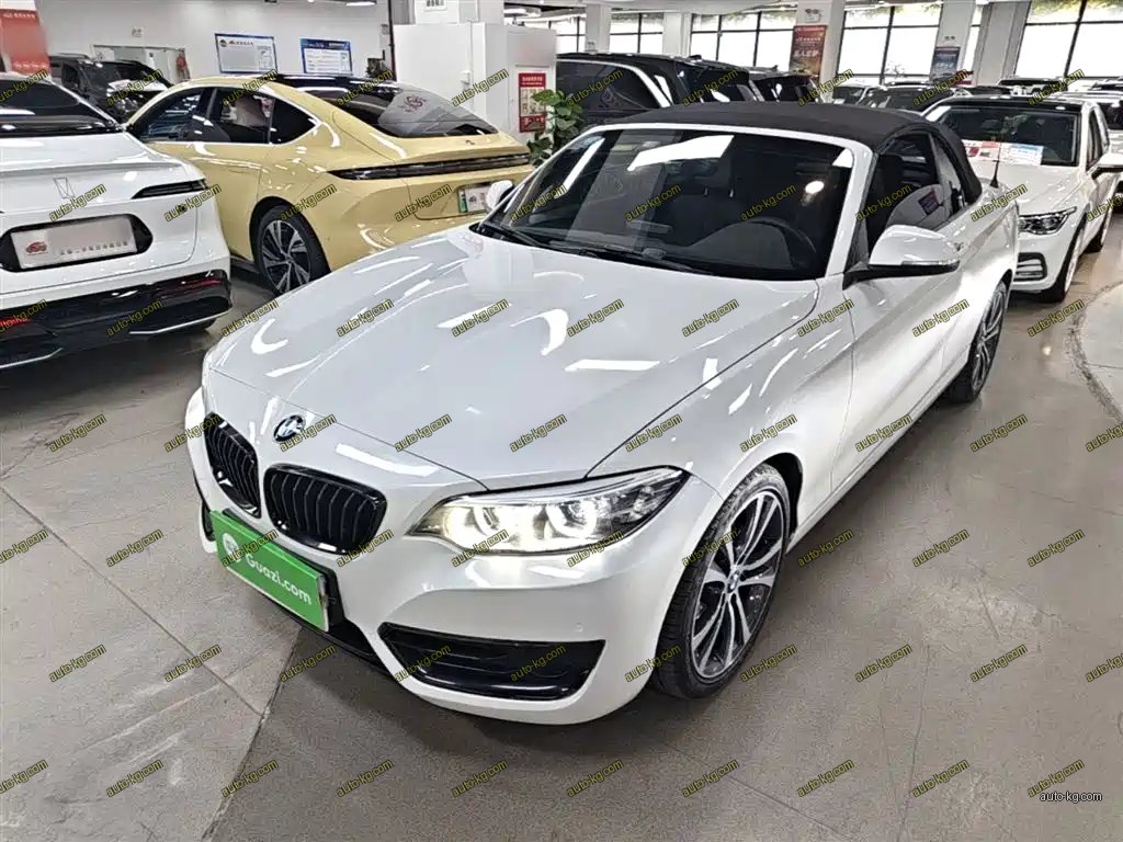 BMW 2 Series (Import) 2019