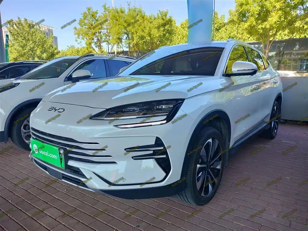 BYD PLUS New Energy 2025