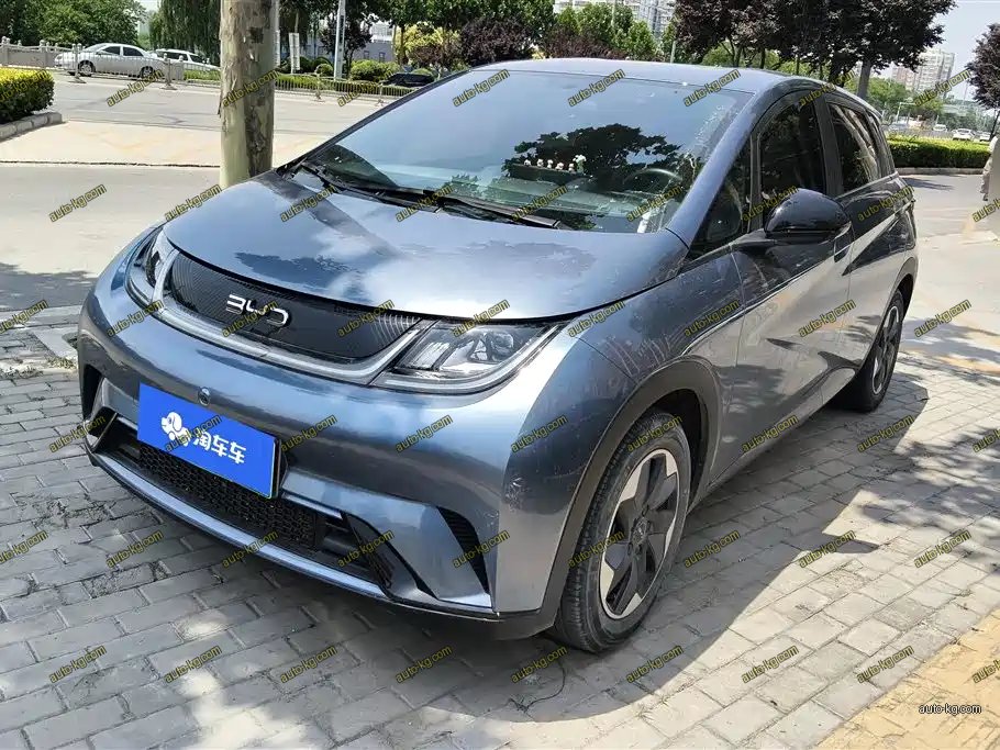 BYD Dolphin 2024