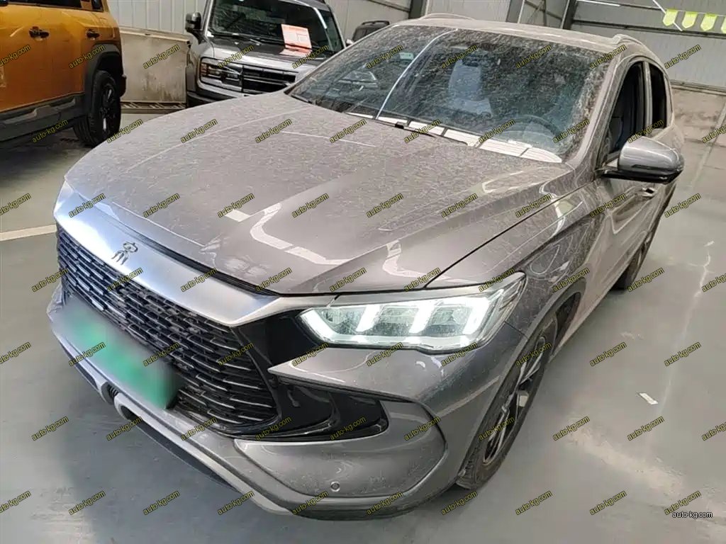 BYD Pro New Energy 2024