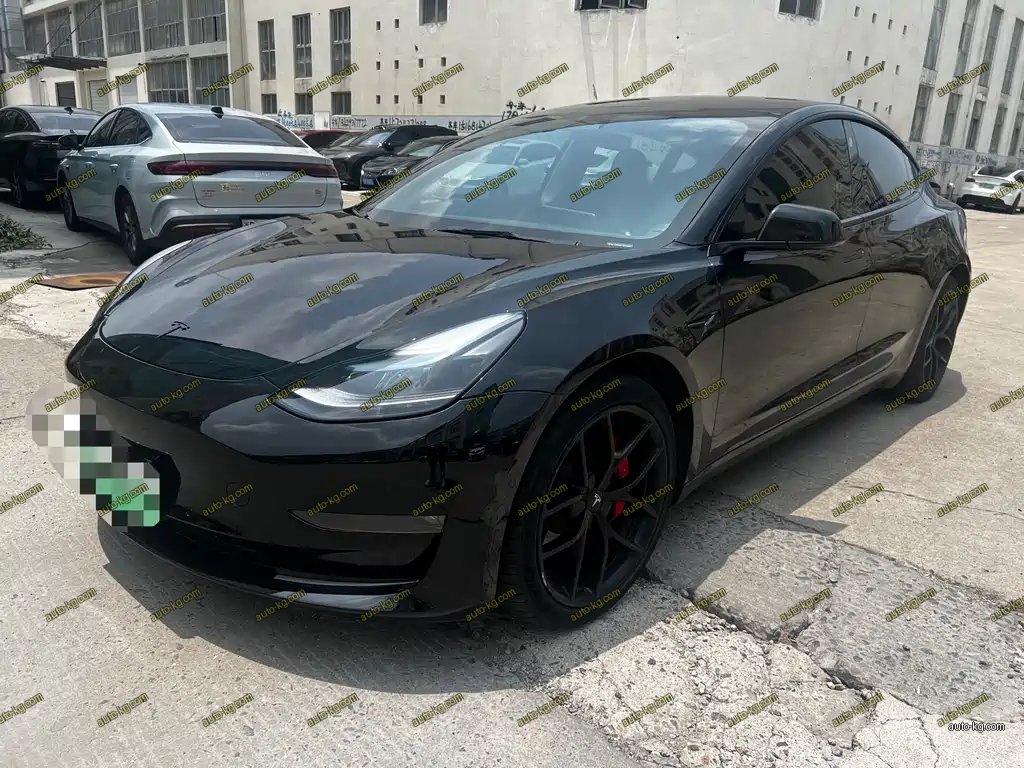 Tesla Model 3 2022