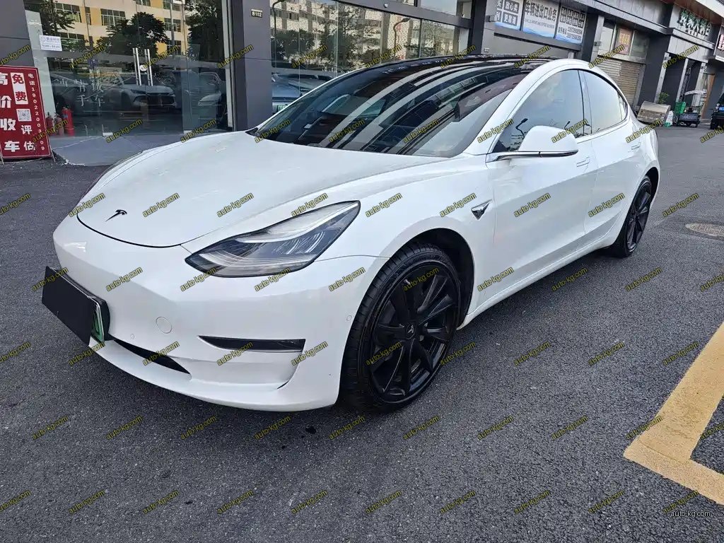 Tesla Model 3 2019