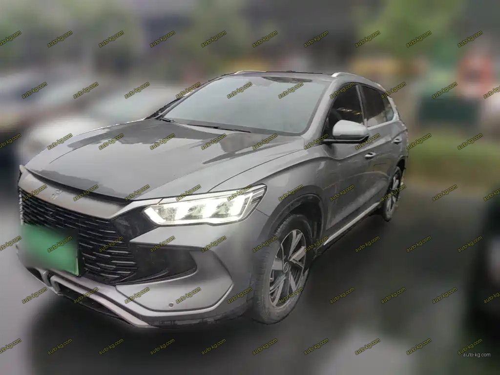 BYD Pro New Energy 2024
