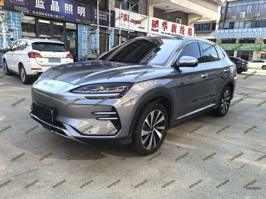 BYD PLUS New Energy 2024