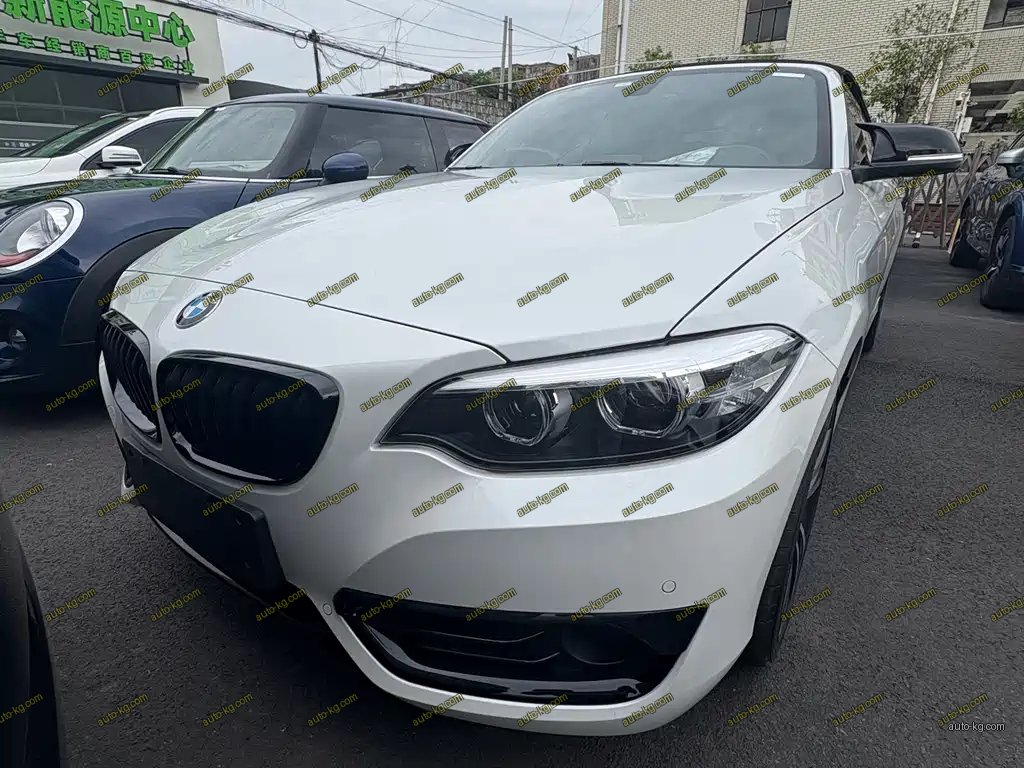 BMW 2 Series (Import) 2021