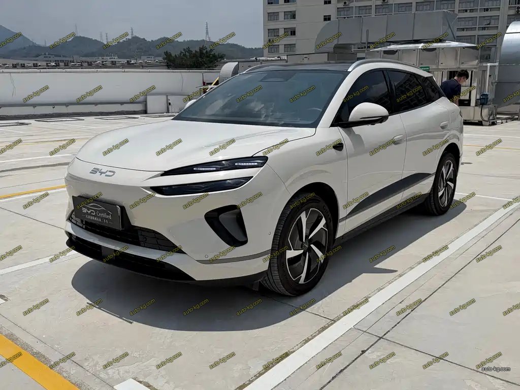 BYD 海狮06 2025