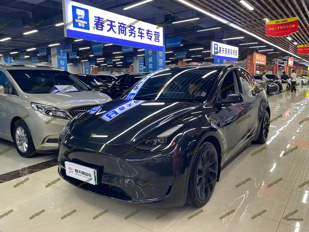 Tesla Model Y 2021
