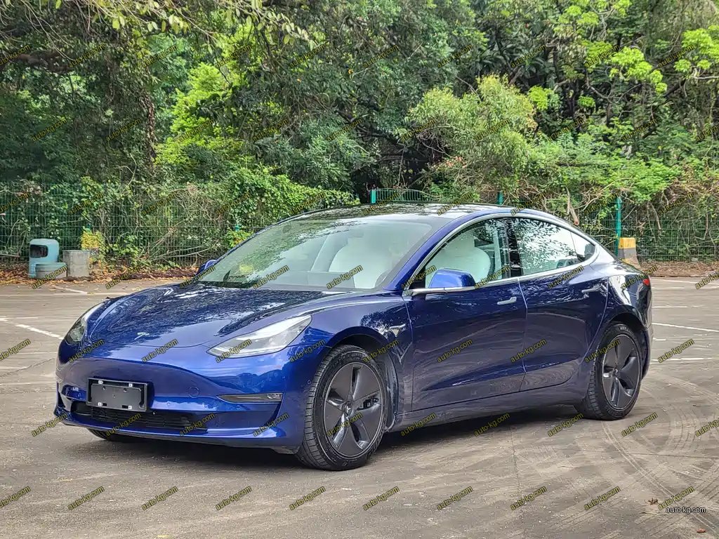 Tesla Model 3 2020