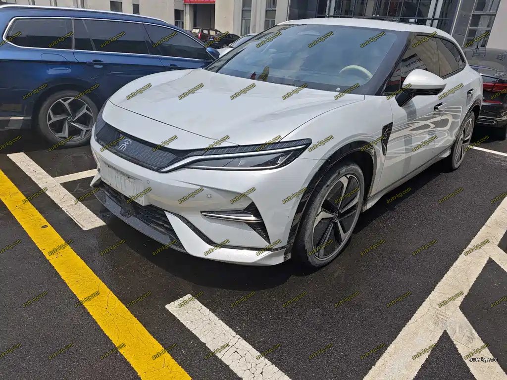 BYD L EV 2024