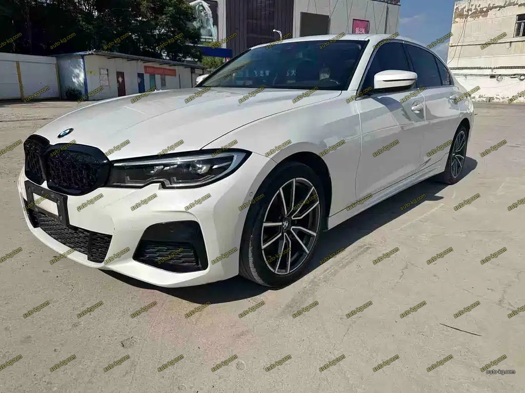 BMW 3 Series 2019