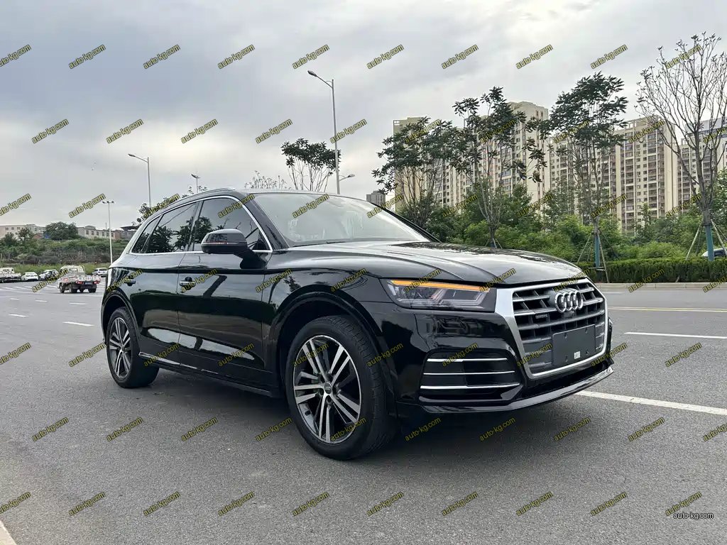 Audi Q5L 2019