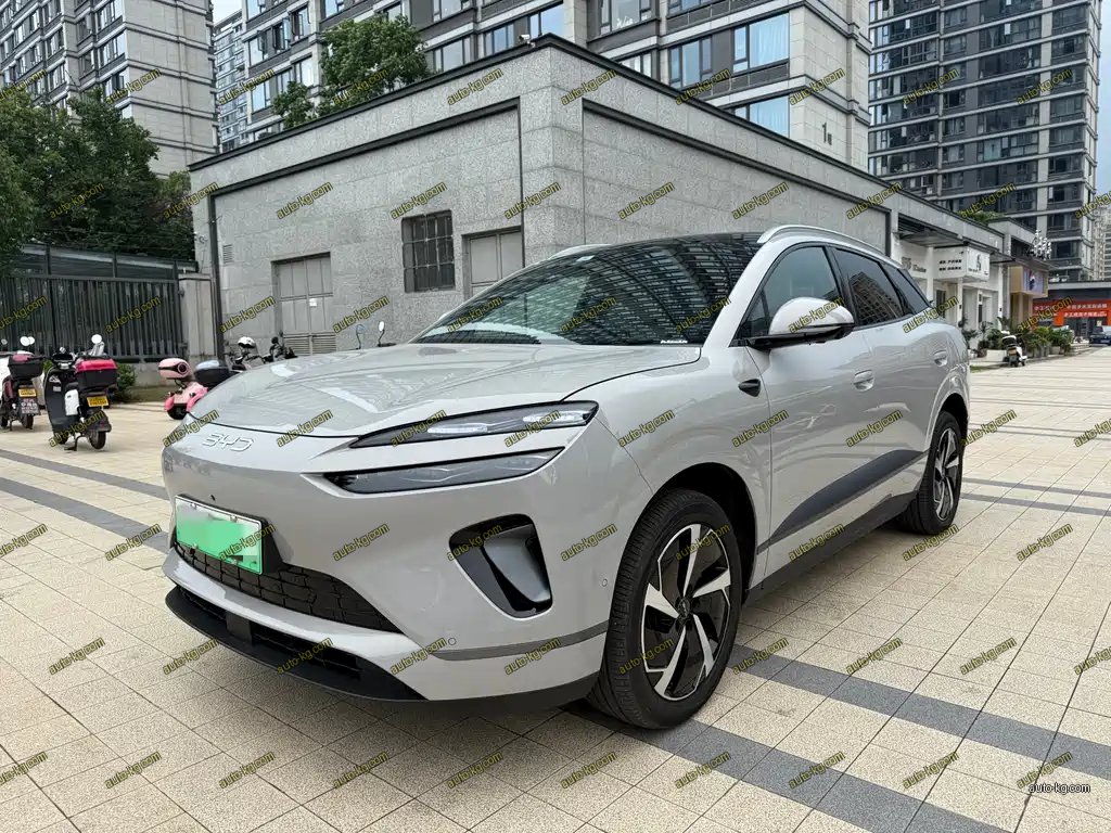 BYD 海狮06 2025