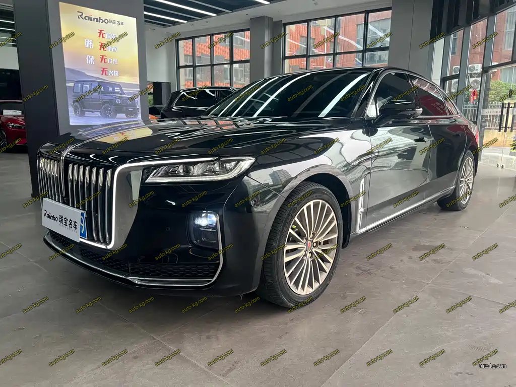 Hongqi Hongqi H9 2021