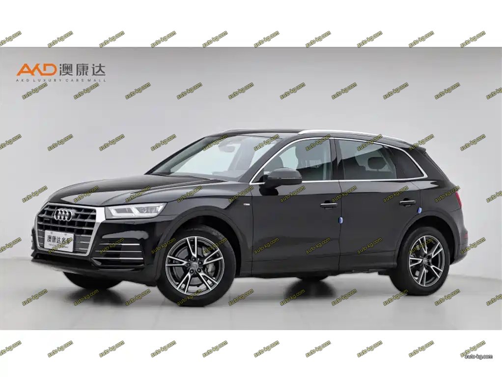 Audi Q5L 2019