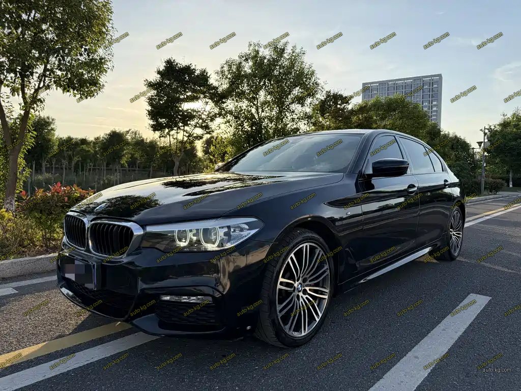 BMW 5 Series 2018
