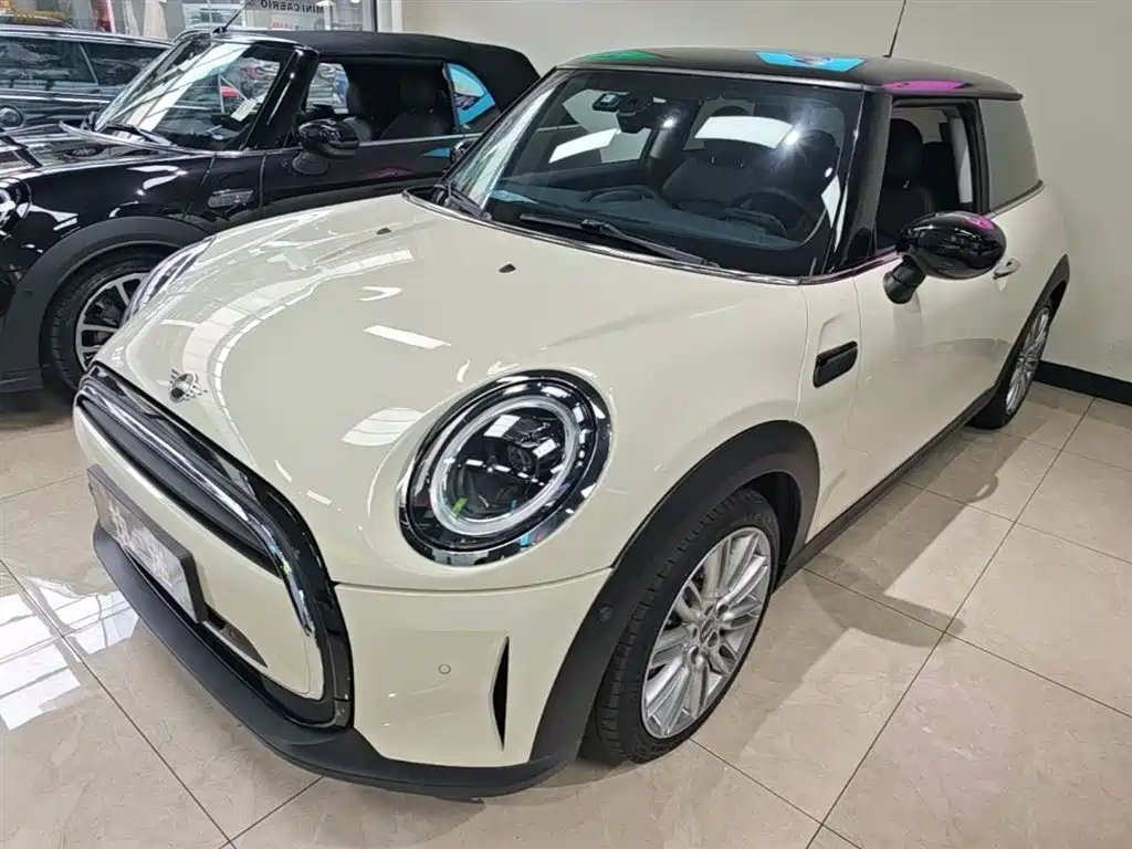 Mini Mini 2021