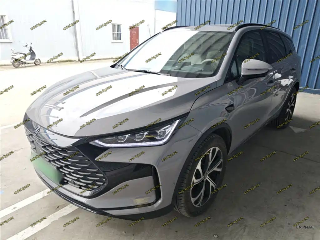 BYD Tang New Energy 2025