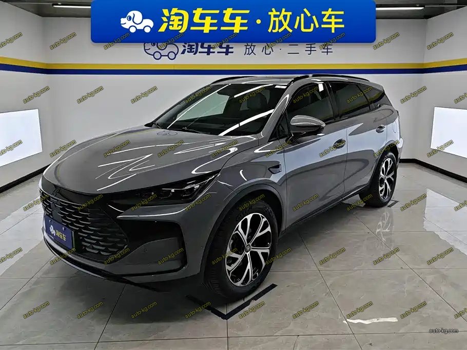 BYD Tang New Energy 2025