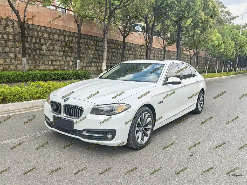 BMW 5 Series 2017