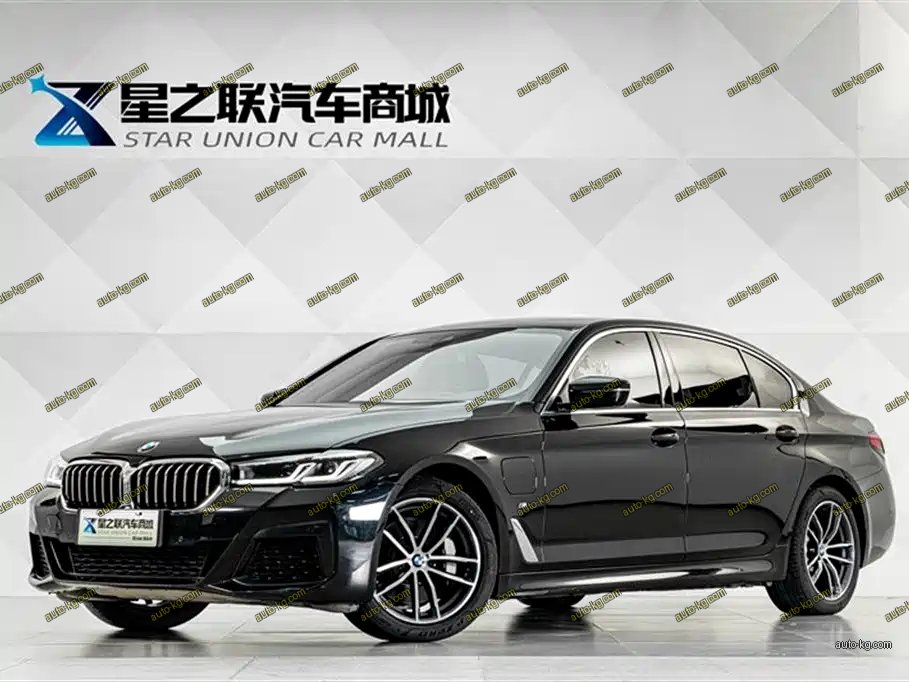 BMW 5 Series New Energy 2021