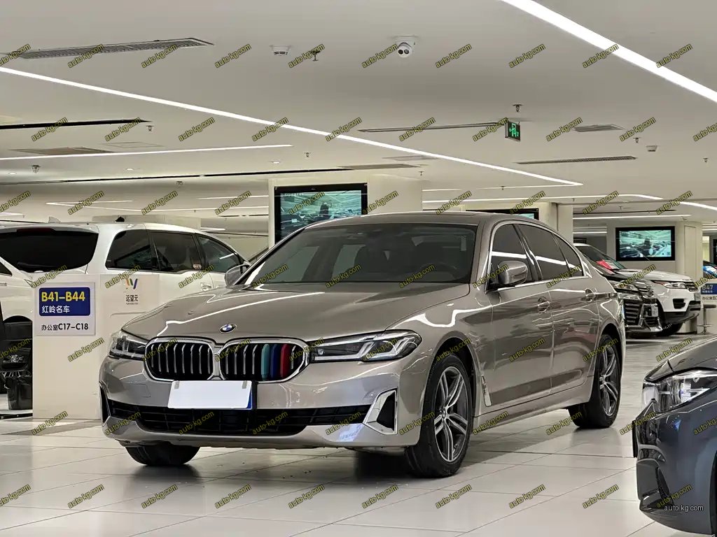 BMW 5 Series 2021