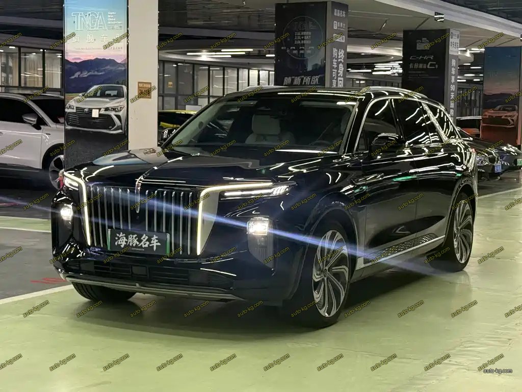 Hongqi Hongqi E-HS9 2021