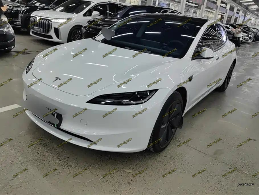 Tesla Model 3 2025