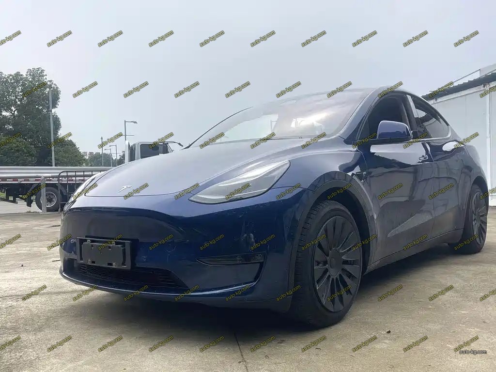 Tesla Model Y 2021