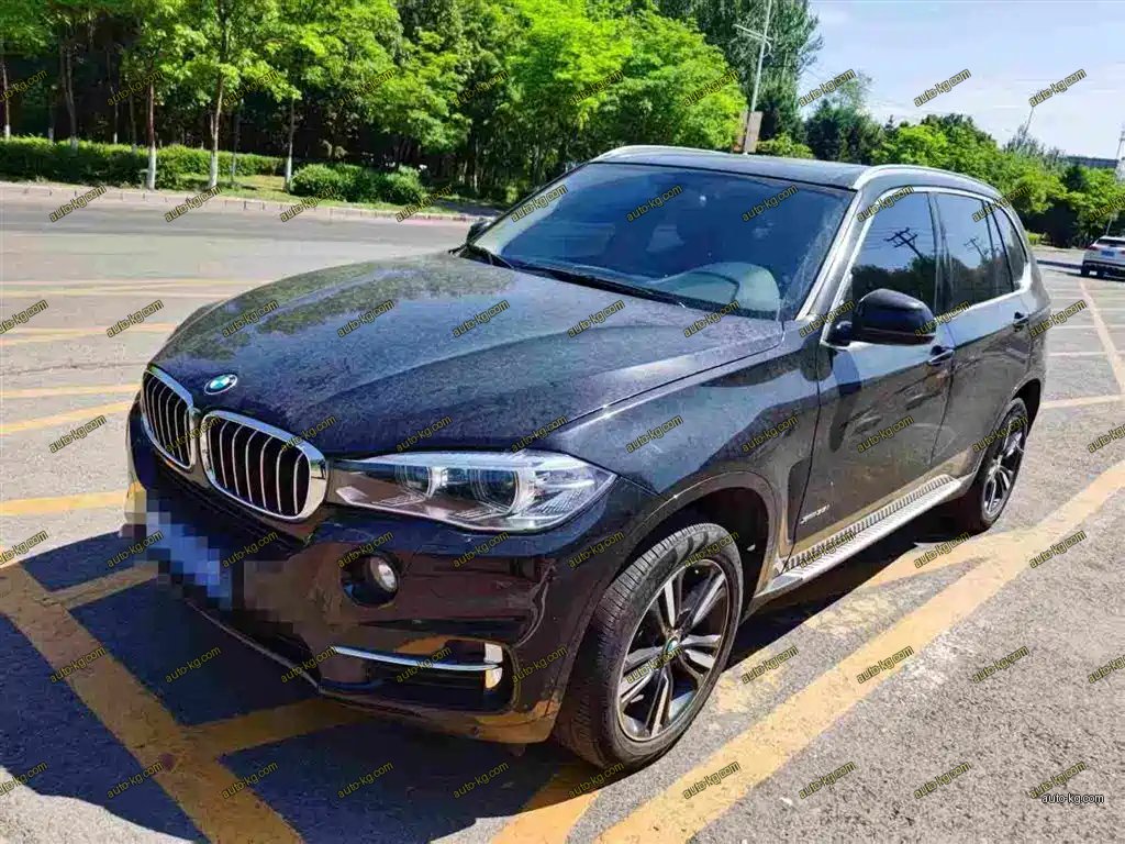 BMW X5 (Import) 2017
