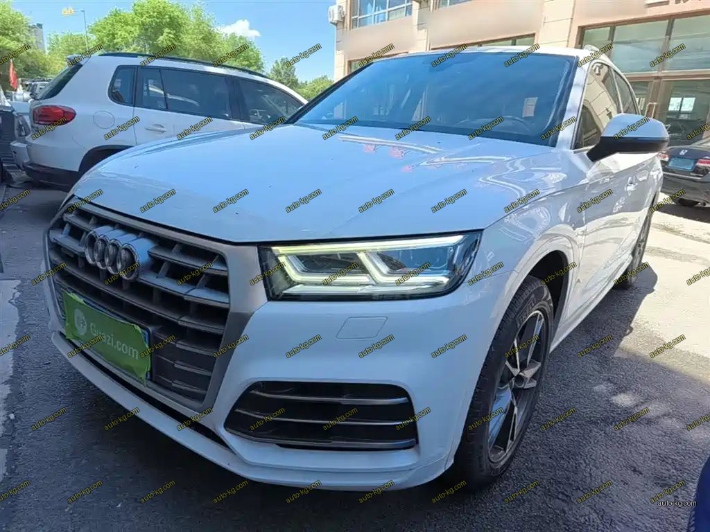 Audi Q5L 2019
