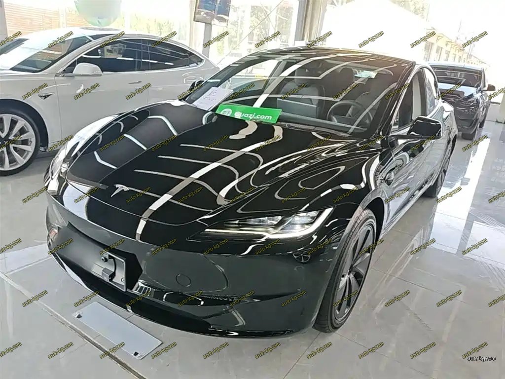 Tesla Model 3 2025