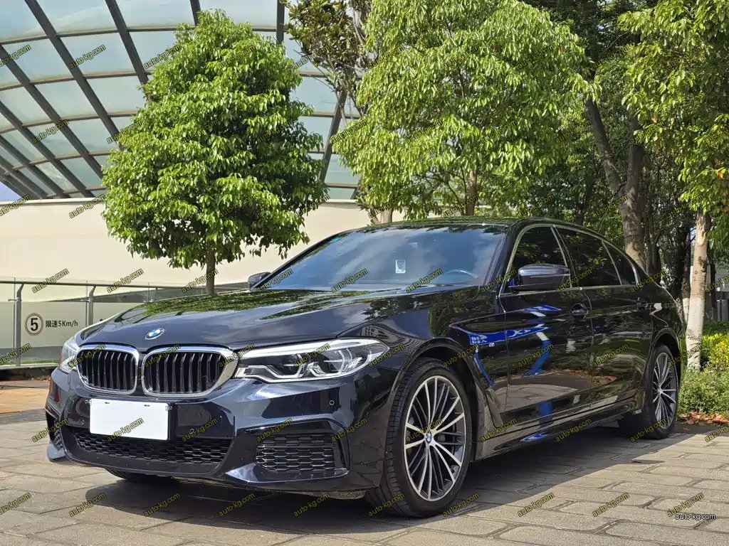BMW 5 Series 2020
