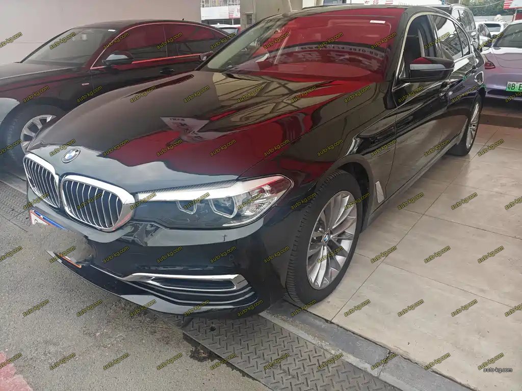 BMW 5 Series 2019