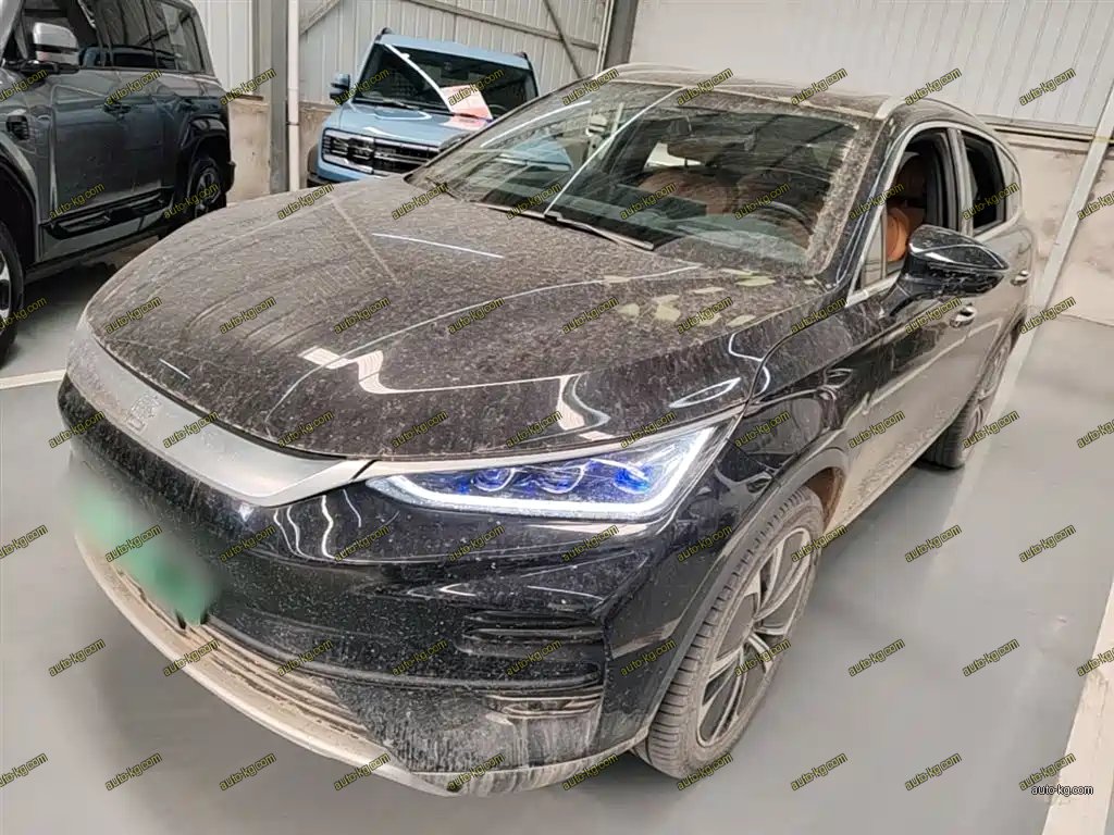 BYD Tang New Energy 2024