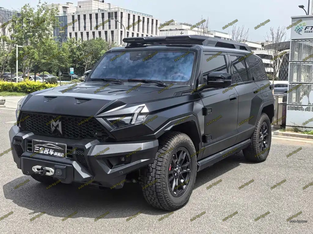 Mengshi Mengshi 917 2025
