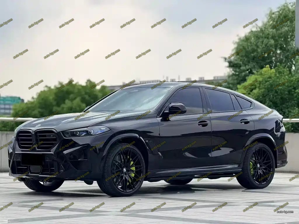 BMW X6 2023