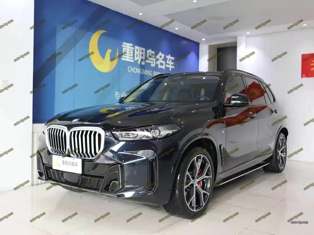 BMW X5 2024