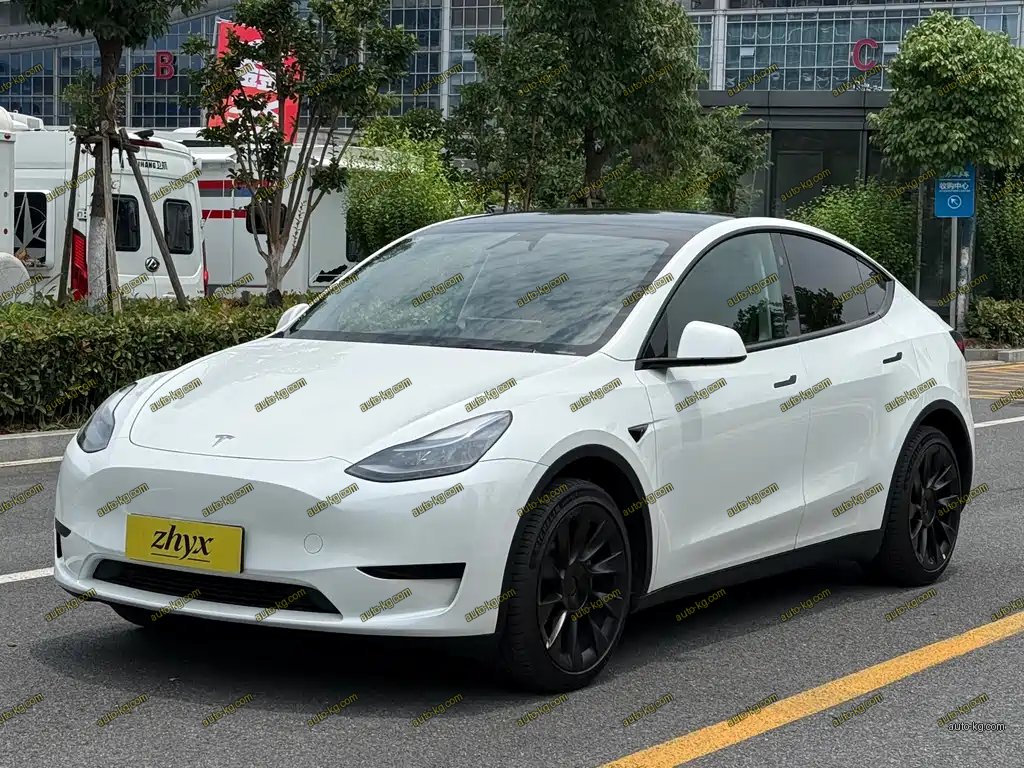 Tesla Model Y 2024