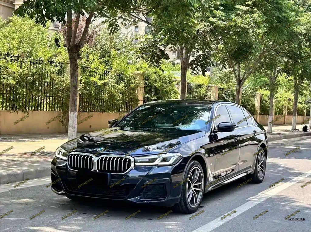BMW 5 Series 2022