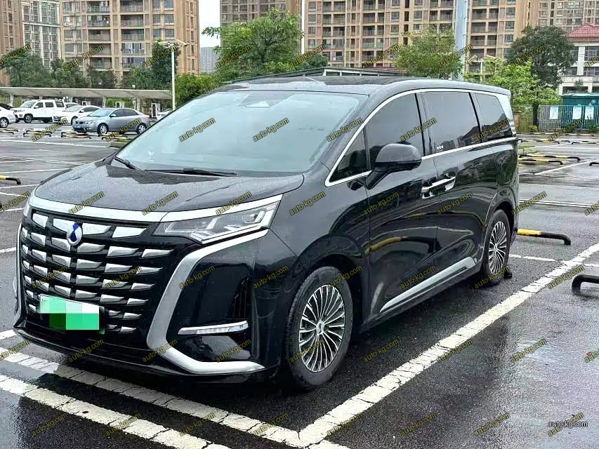 Denza Denza D9 2025